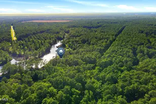 954 Fork Point Rd, Oriental, NC 28571 - Photo 45