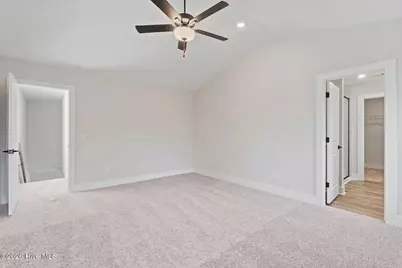 156 S Umbrella Palm Drive, Hampstead, NC 28443 - Photo 13
