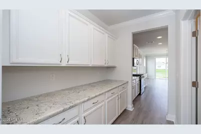 3221 Butterfly Ginger Street #Lot 74, Leland, NC 28451 - Photo 9
