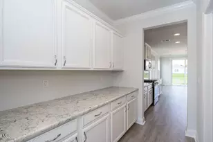 3221 Butterfly Ginger St, Leland, NC 28451 - Photo 9