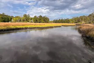 180 Quails Cove, Hampstead, NC 28443 - Photo 53