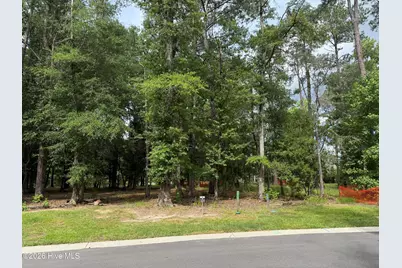 3698 Excelsior Lane, Castle Hayne, NC 28429 - Photo 1