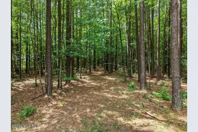 258 Guinea Mill Road, Moyock, NC 27958 - Photo 51