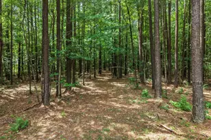 258 Guinea Mill Rd, Moyock, NC 27958 - Photo 51
