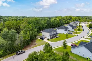 229 Legacy Ln, Newport, NC 28570 - Photo 45