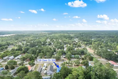 728 Deer Drive SW, Supply, NC 28462 - Photo 39