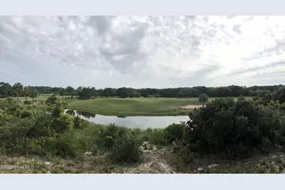 31 Mourning Warbler Trail, Bald Head Island, NC 28461 - Photo 1