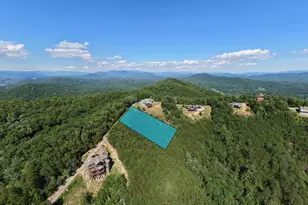 Lot 31 Crested Eagle Ln, Murphy, NC 28906 - Photo 1