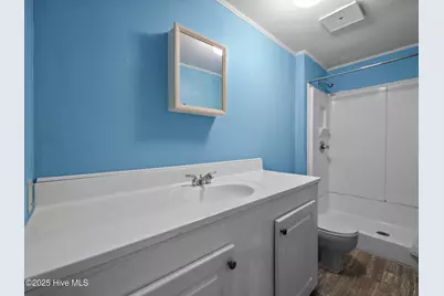 135 Bogue Forest Drive, Newport, NC 28570 - Photo 33