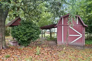 224 Banks Ave, Goldsboro, NC 27534 - Photo 25