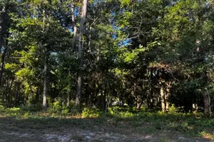 2408 Zion Hill Rd Road SE, Bolivia, NC 28422 - Photo 1