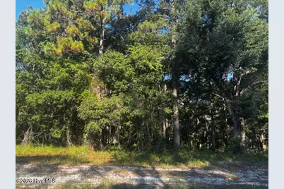 2408 Zion Hill Rd Road SE, Bolivia, NC 28422 - Photo 3