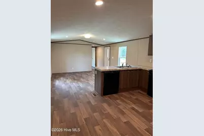 113 Orton Lane, Hamlet, NC 28345 - Photo 5