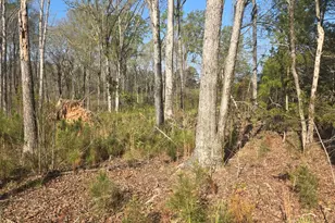0 Mercier Rd, Lincolnton, GA 30817 - Photo 1