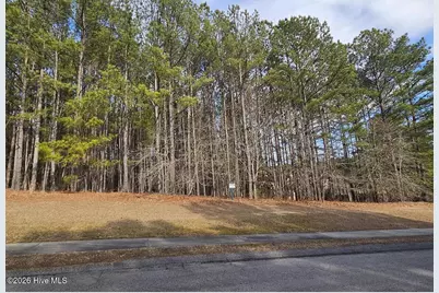 175 Broken Ridge Trail, West End, NC 27376 - Photo 3