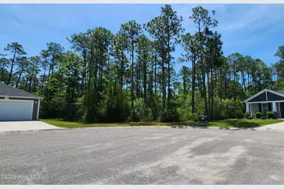 1762 Capra Court SE, Bolivia, NC 28422 - Photo 1