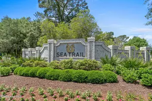 609 Camellia Ln, Sunset Beach, NC 28468 - Photo 33