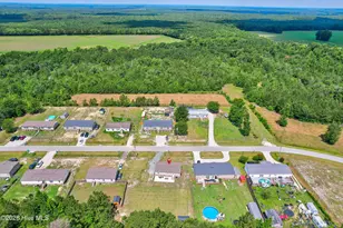 221 Mewborn Dr, Beulaville, NC 28518 - Photo 31