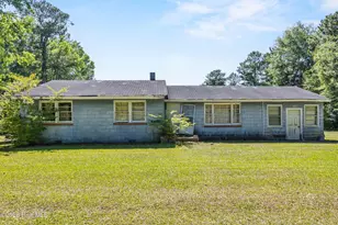 119 Minnie Bell Ln, Sneads Ferry, NC 28460 - Photo 1