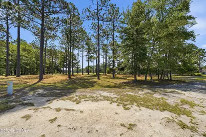 349 Laurel Valley Drive, Shallotte, NC 28470 - Photo 5