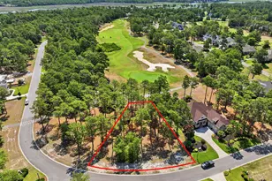 349 Laurel Valley Dr, Shallotte, NC 28470 - Photo 1