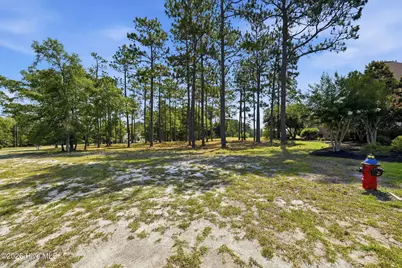 349 Laurel Valley Drive, Shallotte, NC 28470 - Photo 3