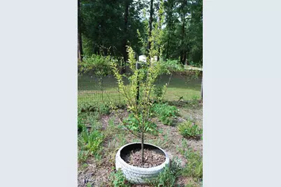 4306 Seago Road, Hephzibah, GA 30815 - Photo 45