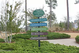 2170 Talmage Dr, Leland, NC 28451 - Photo 77