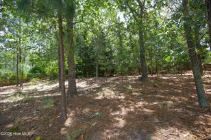 34 Princess Gate Dr, Whispering Pines, NC 28327 - Photo 57