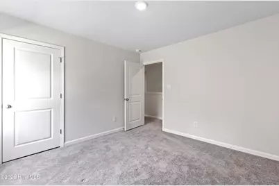 405 Ibis Court, Sneads Ferry, NC 28460 - Photo 19