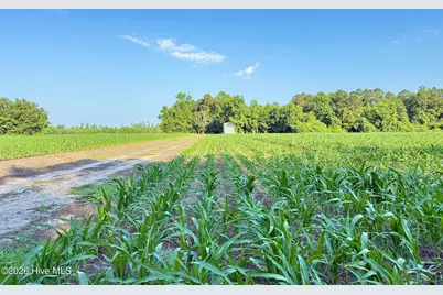 Off Swamp Fox Hwy Highway E, Tabor City, NC 28463 - Photo 27