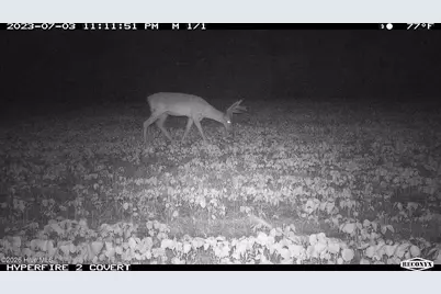 Off Swamp Fox Hwy Highway E, Tabor City, NC 28463 - Photo 13