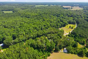 252 Paul Dr, Trenton, NC 28585 - Photo 35