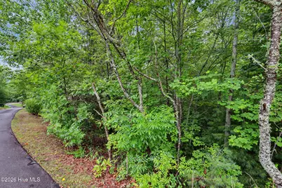 71 Lawrence Drive, Murphy, NC 28906 - Photo 9