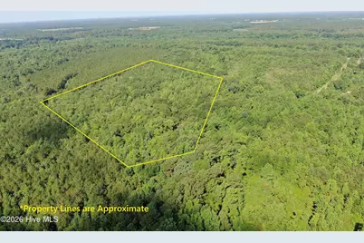 Tbd Oliver Carlton Road, Warsaw, NC 28398 - Photo 1