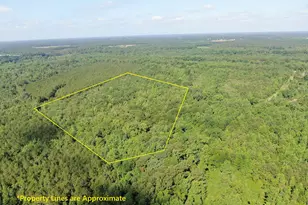Tbd Oliver Carlton Rd, Warsaw, NC 28398 - Photo 1