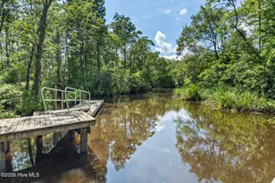 116 Sadie Way, Rocky Point, NC 28457 - Photo 51