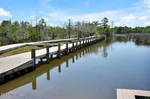 266 E Red Head Cir, Sneads Ferry, NC 28460 - Photo 55