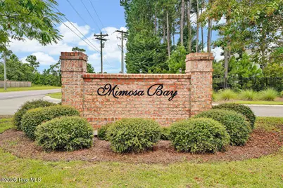 266 E Red Head Circle, Sneads Ferry, NC 28460 - Photo 27