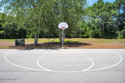 266 E Red Head Circle, Sneads Ferry, NC 28460 - Photo 51