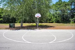 266 E Red Head Cir, Sneads Ferry, NC 28460 - Photo 51