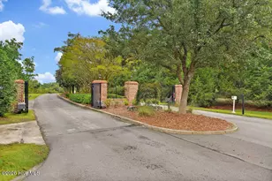 266 E Red Head Cir, Sneads Ferry, NC 28460 - Photo 39