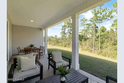 3228 Butterfly Ginger Street #Lot 156, Leland, NC 28451 - Photo 33