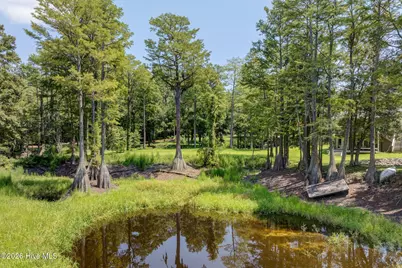 151 Pansy Lane, Hampstead, NC 28443 - Photo 67