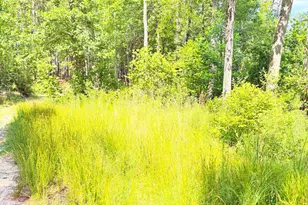 137 Manley Rd, Carthage, NC 28327 - Photo 15