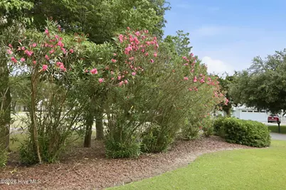 239 Water Oak Drive, Newport, NC 28570 - Photo 33