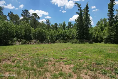 00 Old Chinquapin Road, Beulaville, NC 28518 - Photo 35