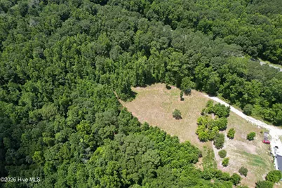 00 Old Chinquapin Road, Beulaville, NC 28518 - Photo 11