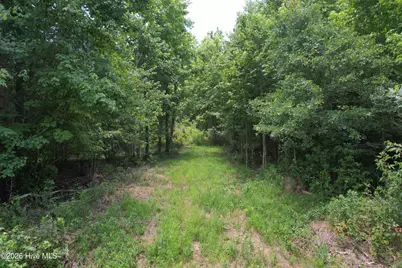 00 Old Chinquapin Road, Beulaville, NC 28518 - Photo 27