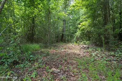 00 Old Chinquapin Road, Beulaville, NC 28518 - Photo 29
